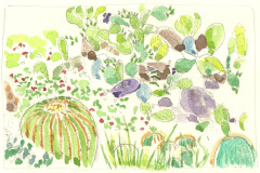 cactus-violet-300dpi
