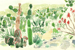 jardin-cactus-eze-300dpi