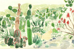 jardin-cactus-eze