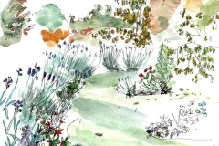 cambridge-botanic-garden